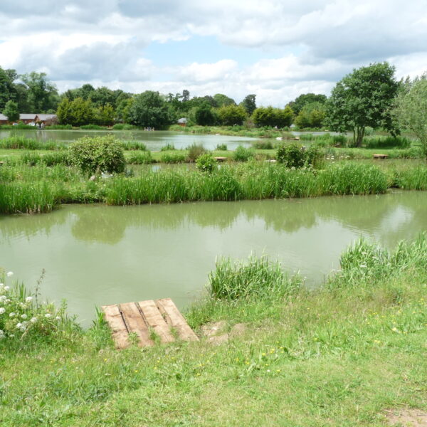 Fishing at Hillview Lakes