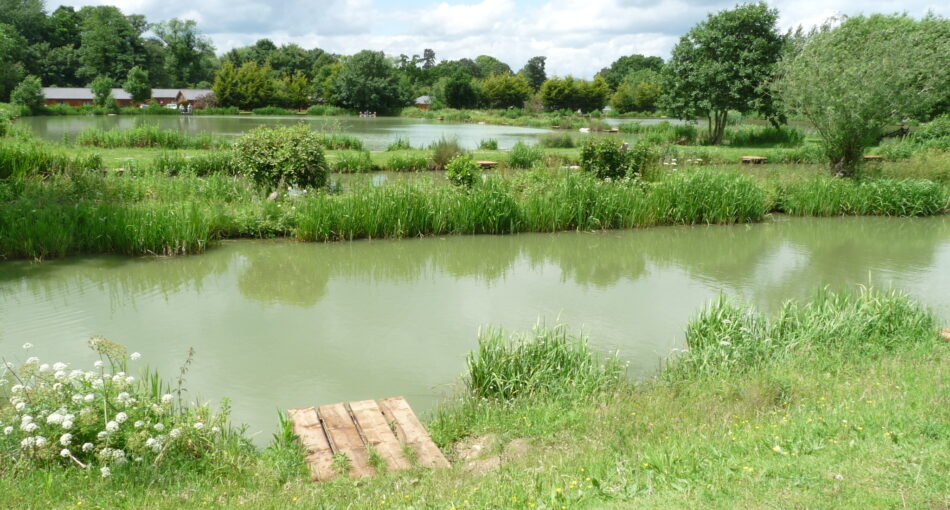 Fishing at Hillview Lakes