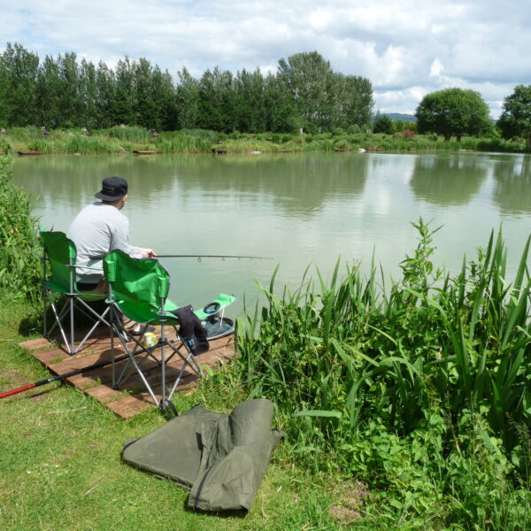 Fishing at Hillview Lakes