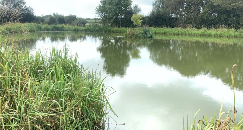 Spring Rock Fishery and Caravan Site in Wales