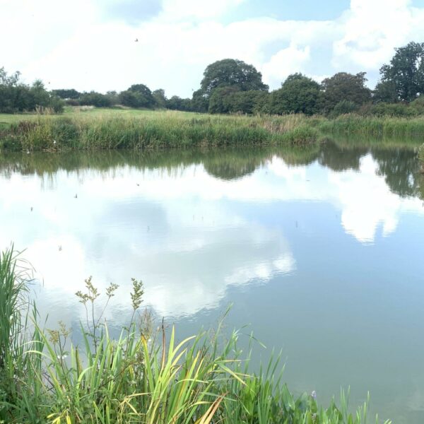 Specimen Lake at Spring Rock Fishery and Caravan Site in Wales