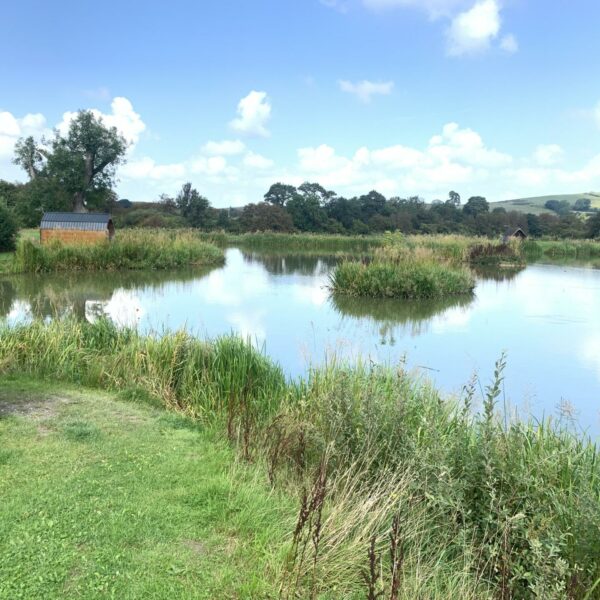 Specimen Lake at Spring Rock Fishery and Caravan Site in Wales