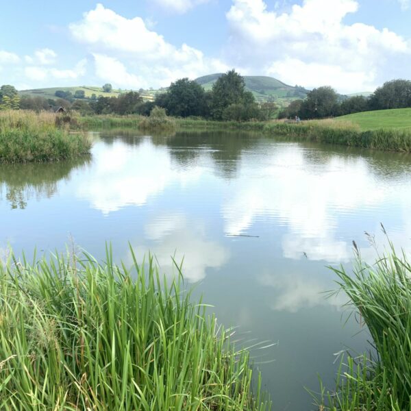 Specimen Lake at Spring Rock Fishery and Caravan Site in Wales