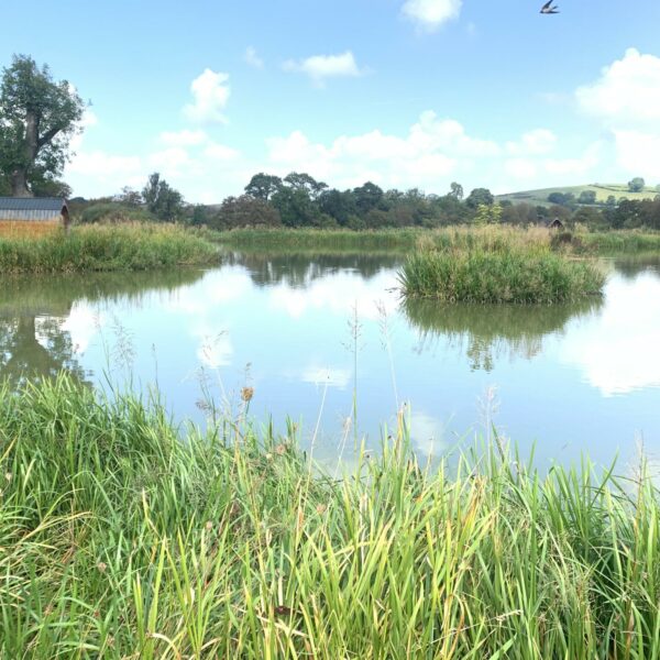 Specimen Lake at Spring Rock Fishery and Caravan Site in Wales