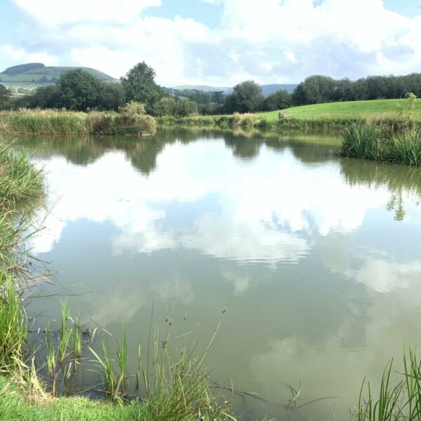 Specimen Lake at Spring Rock Fishery and Caravan Site in Wales