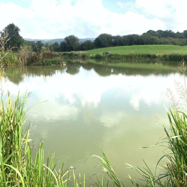 Specimen Lake at Spring Rock Fishery and Caravan Site in Wales