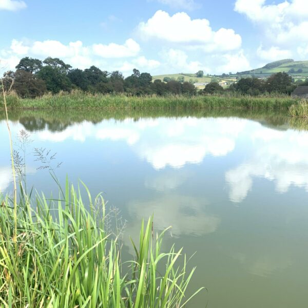 Specimen Lake at Spring Rock Fishery and Caravan Site in Wales