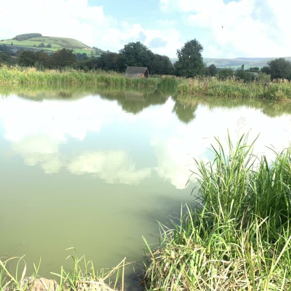 Specimen Lake at Spring Rock Fishery and Caravan Site in Wales