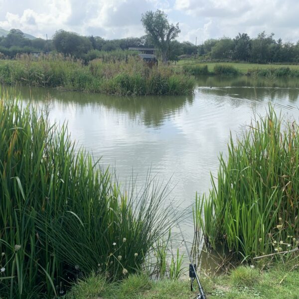 Specimen Lake at Spring Rock Fishery and Caravan Site in Wales