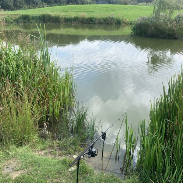 Specimen Lake at Spring Rock Fishery and Caravan Site in Wales