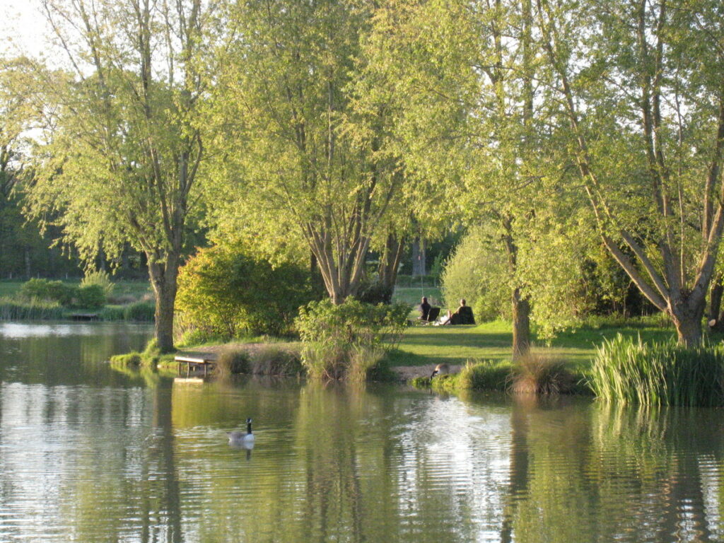 Mill Farm Fishery