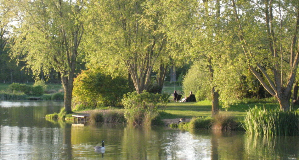 Mill Farm Fishery in Sussex