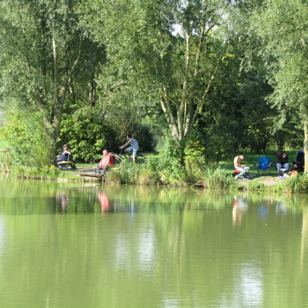 Mill Farm Fishery in Sussex