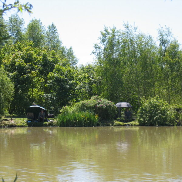 Mill Farm Fishery in Sussex