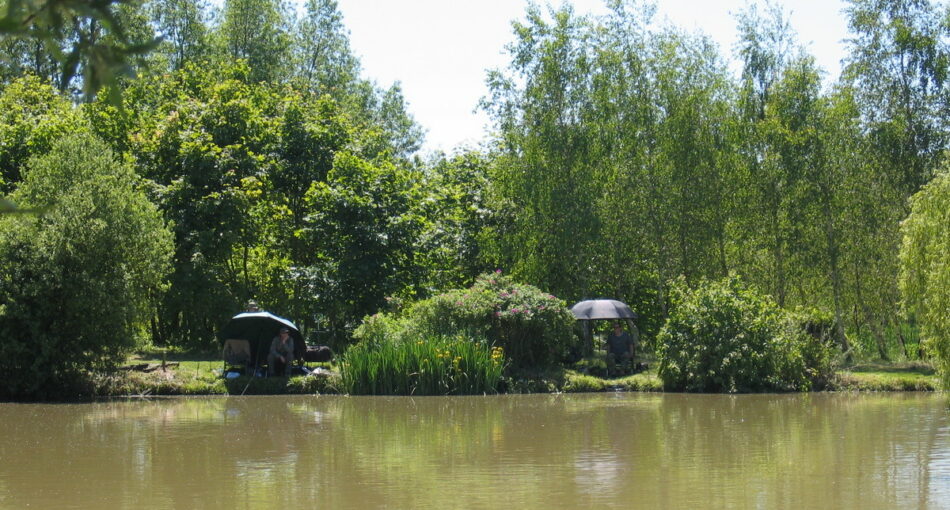 Mill Farm Fishery in Sussex