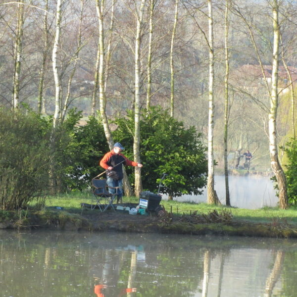 Mill Farm Fishery in Sussex