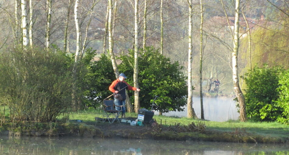 Mill Farm Fishery in Sussex