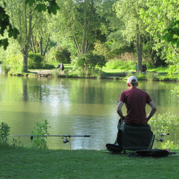 Mill Farm Fishery in Sussex