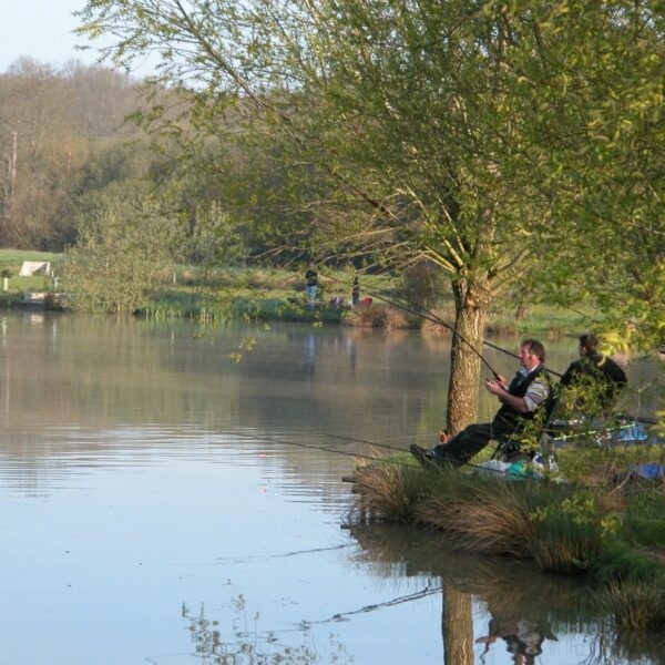 Mill Farm Fishery in Sussex