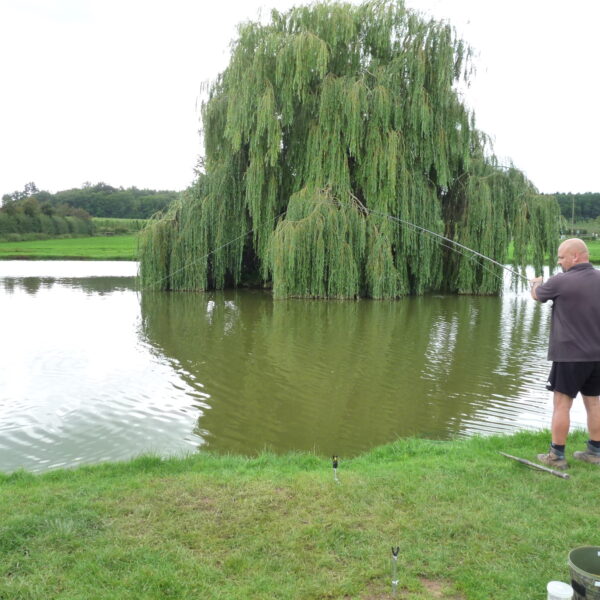 Fishing at Pridewood Hops