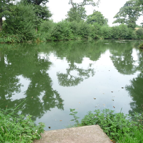 Fishing at Pipehill Fishery