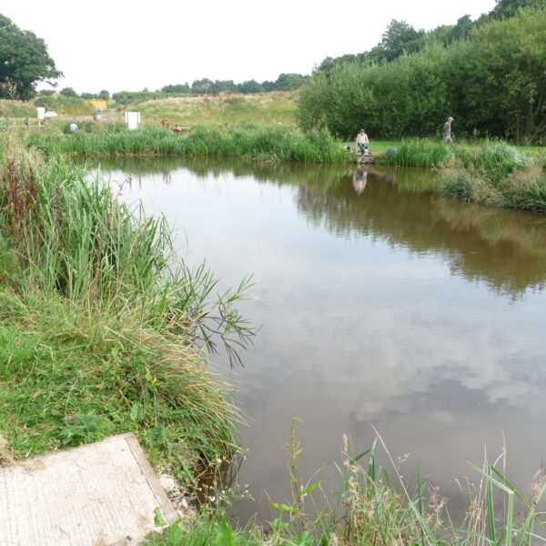 Fishing at Pipehill Fishery