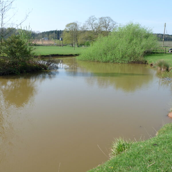 Fishing at Pridewood Hops