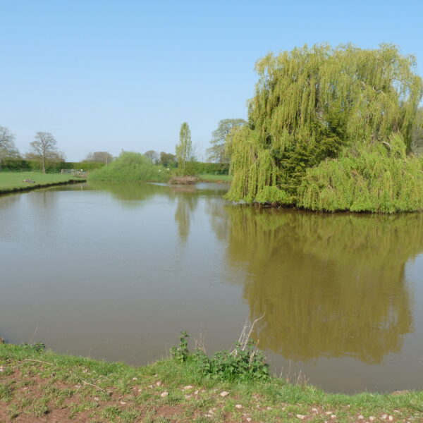 Fishing at Pridewood Hops