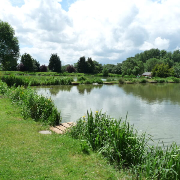 Fishing at Hillview Lakes