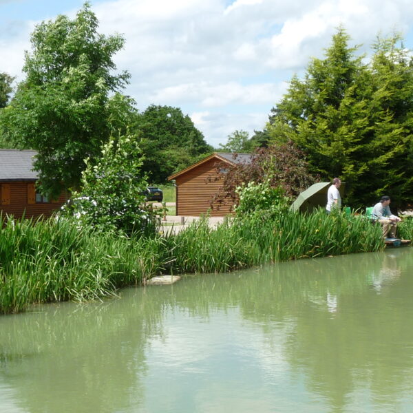 Fishing at Hillview Lakes