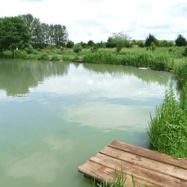 Fishing at Hillview Lakes