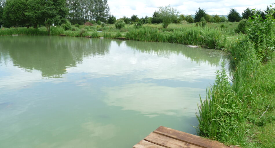 Fishing at Hillview Lakes