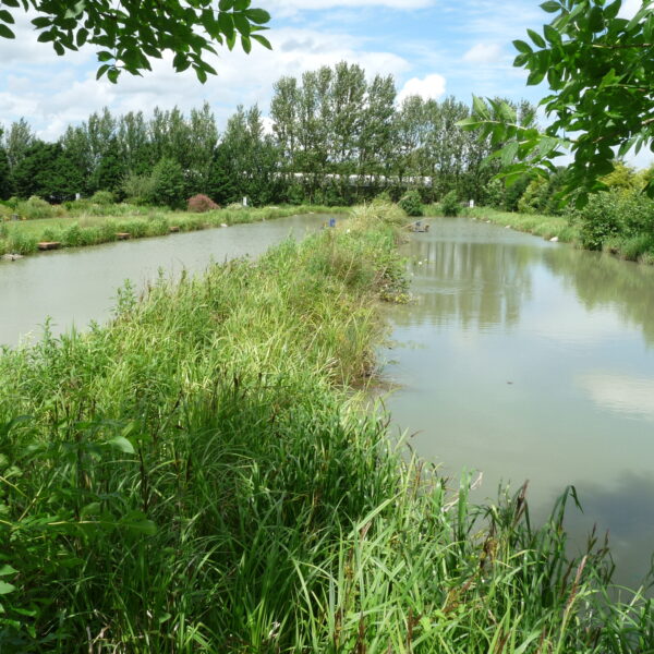 Fishing at Hillview Lakes