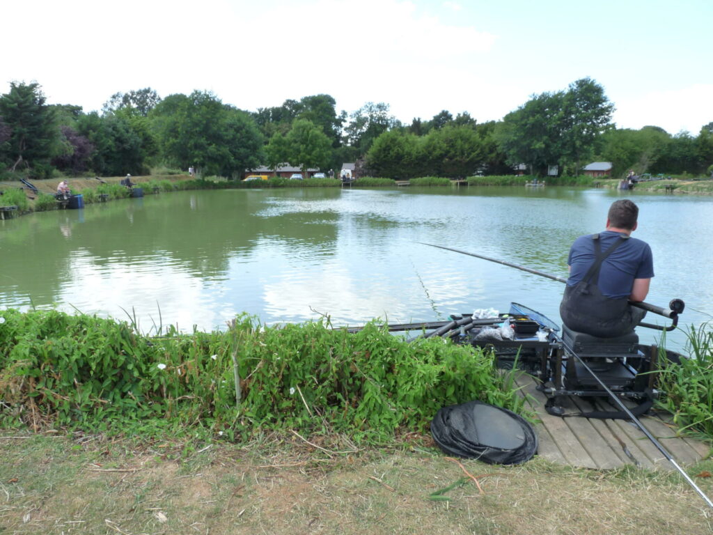 Hillview Lakes Fishery