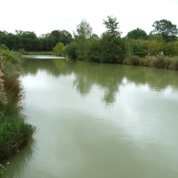 Harrow Pool at Peatling Pools in Peatling Parva Leicestershire