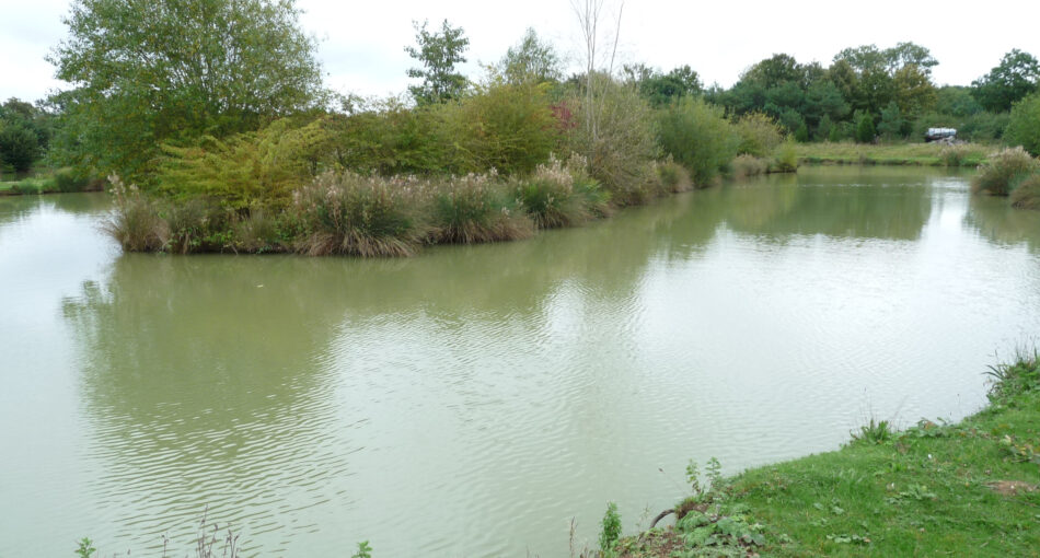 Harrow Pool at Peatling Pools