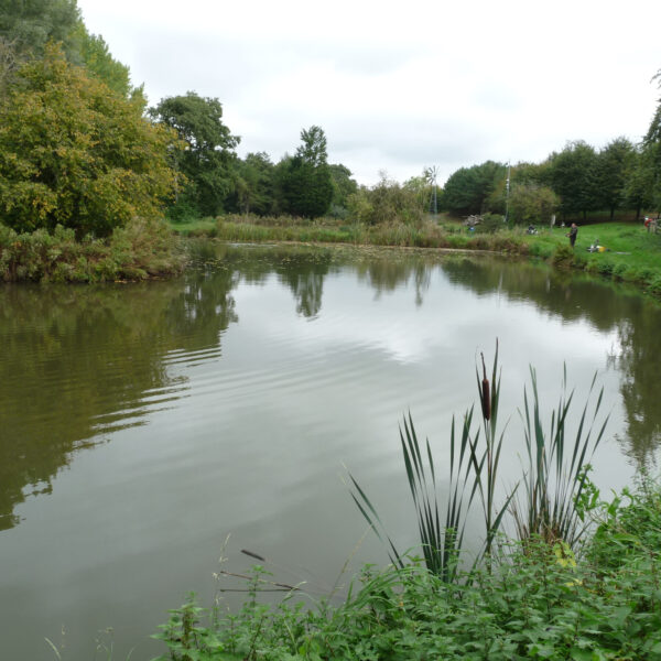 Magna Pool at Peatling Pools in Peatling Parva Leicestershire