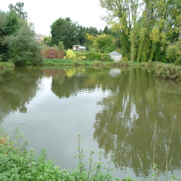 Magna Pool at Peatling Pools in Peatling Parva Leicestershire