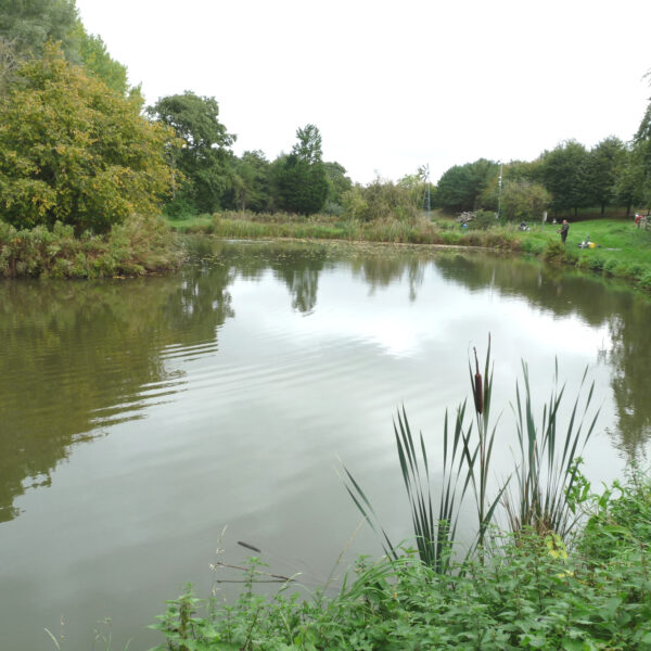 Magna Pool at Peatling Pools in Peatling Parva Leicestershire