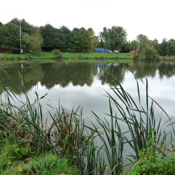 Malcolm Pool at Peatling Pools in Leicestershire