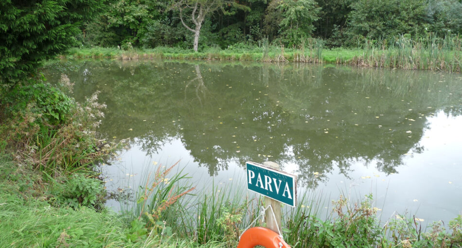 Parva Pool at Peatling Pools in Peatling Parva