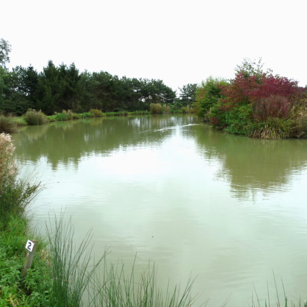 Plough Pool at Peatling Pools in Peatling Parva, Leicestershire