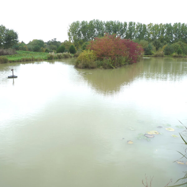 Secret Pool at Peatling Pools in Leicestershire