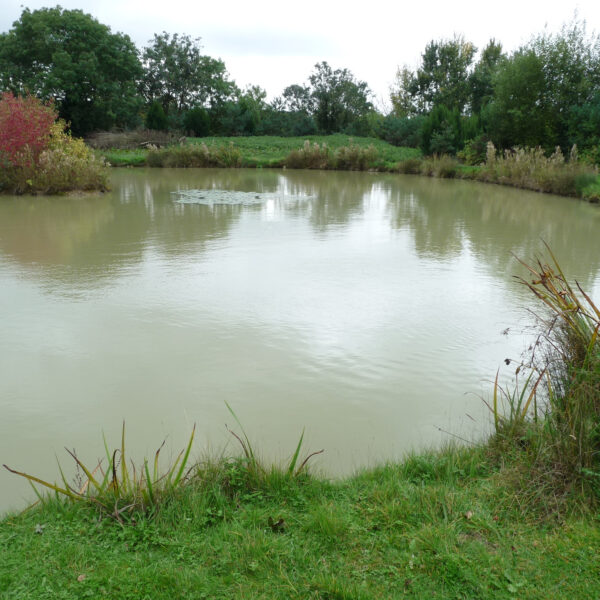 Secret Pool at Peatling Pools in Peatling Parva, Leicestershire