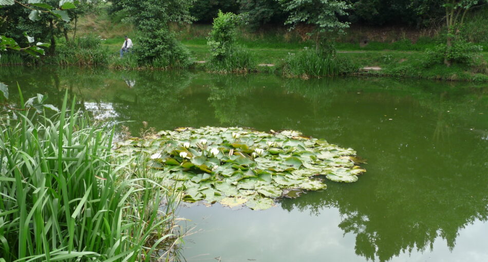 Fishing at Pipehill Fishery