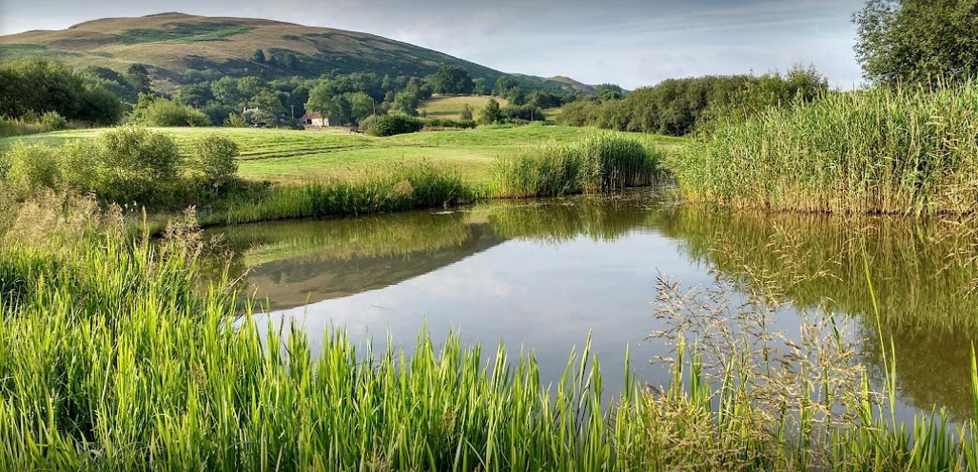 Spring Rock Fishery Powys Wales