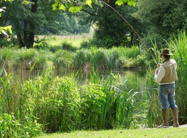 Avington Trout Fishery in Hampshire