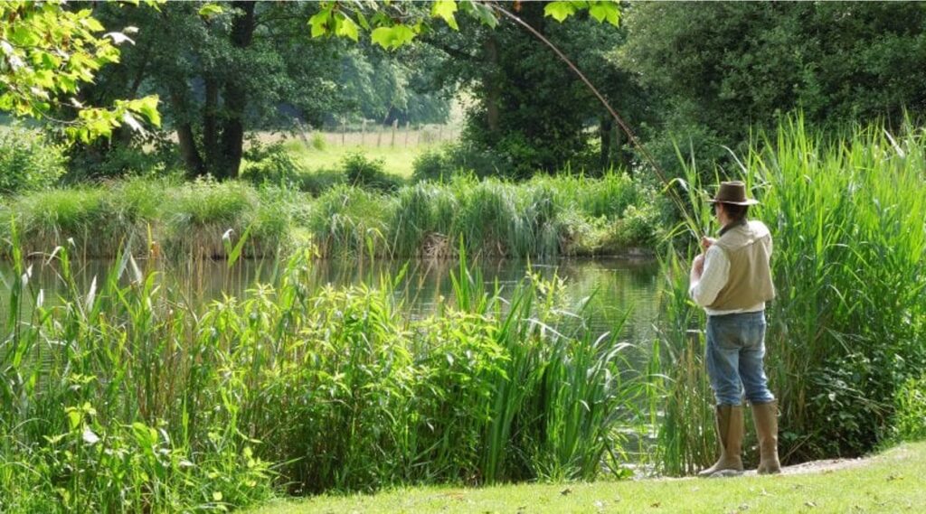 Avington Trout Fishery