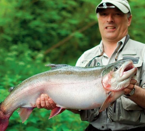 Avington Fishery