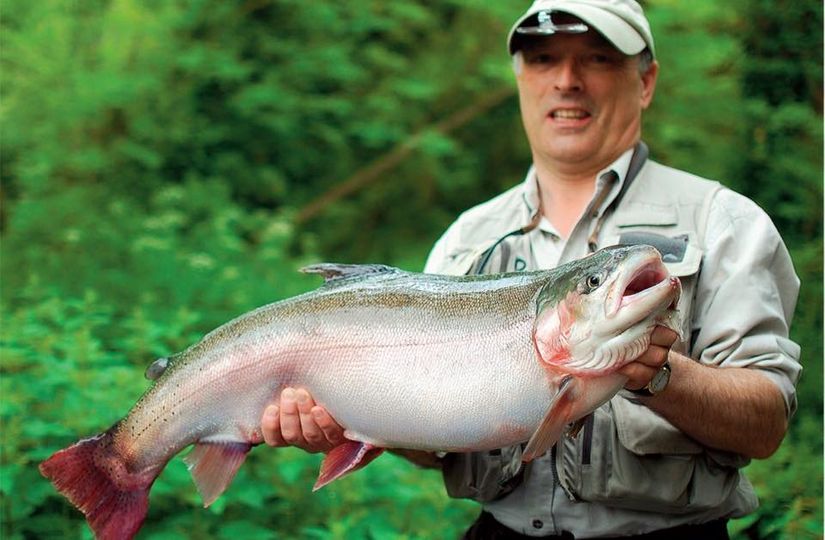 Avington Trout Fishery 